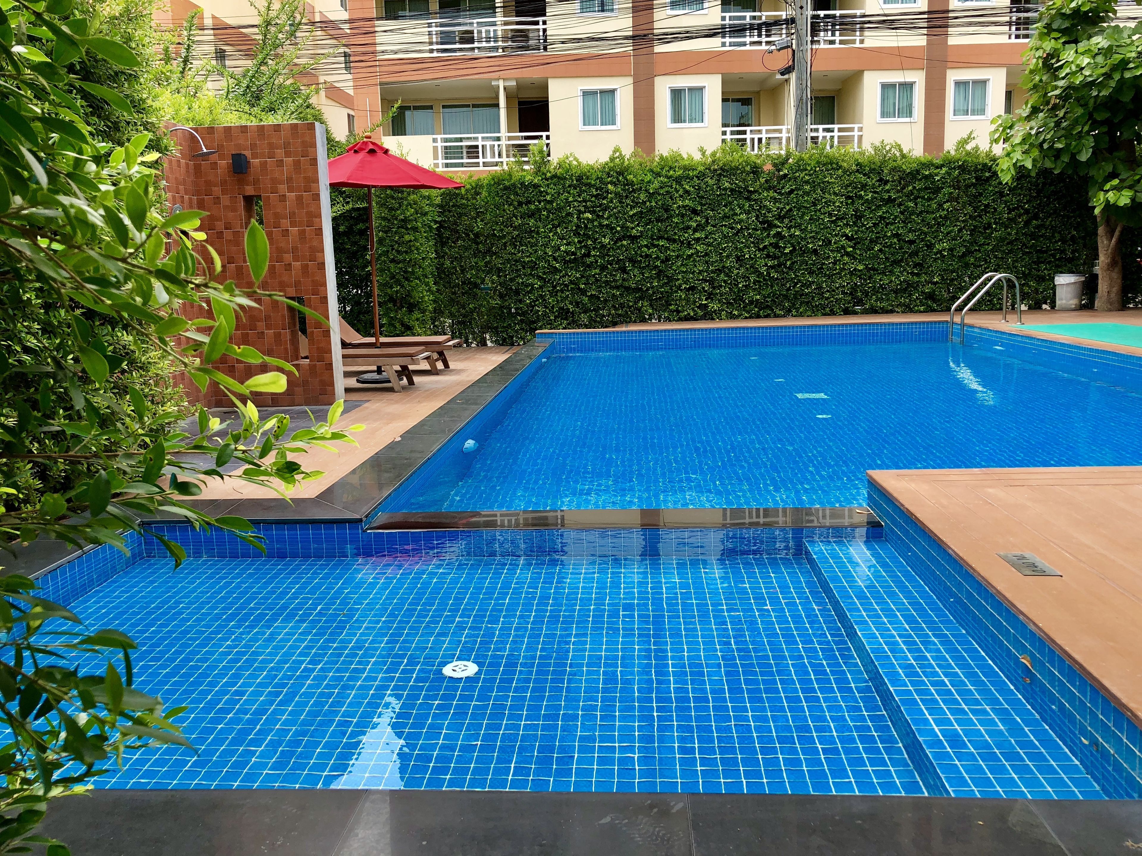 Une piscine aux carreaux bleus, entourée d’un mur de briques et de verdure.