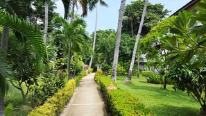 Property grounds - Chaweng Beachcomber Hotel (Koh Samui)