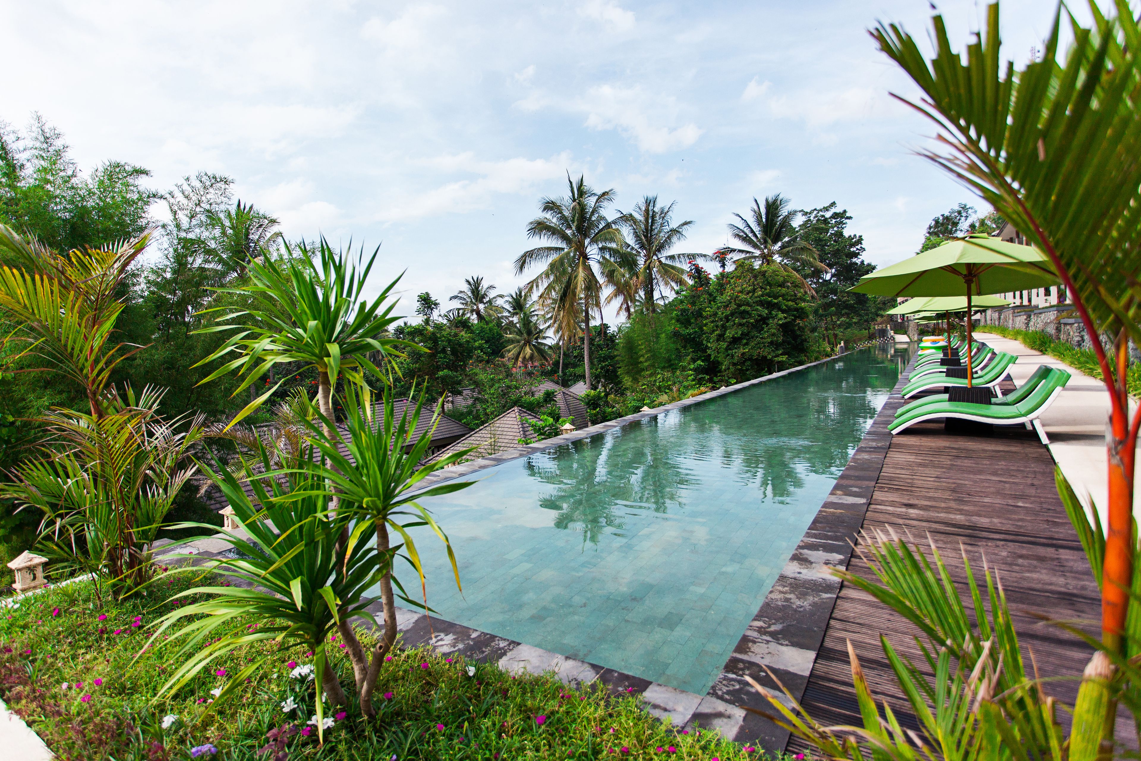 A pool with a wooden deck, surrounded by tropical plants and palm trees.