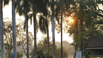 Hồ bơi ngoài trời