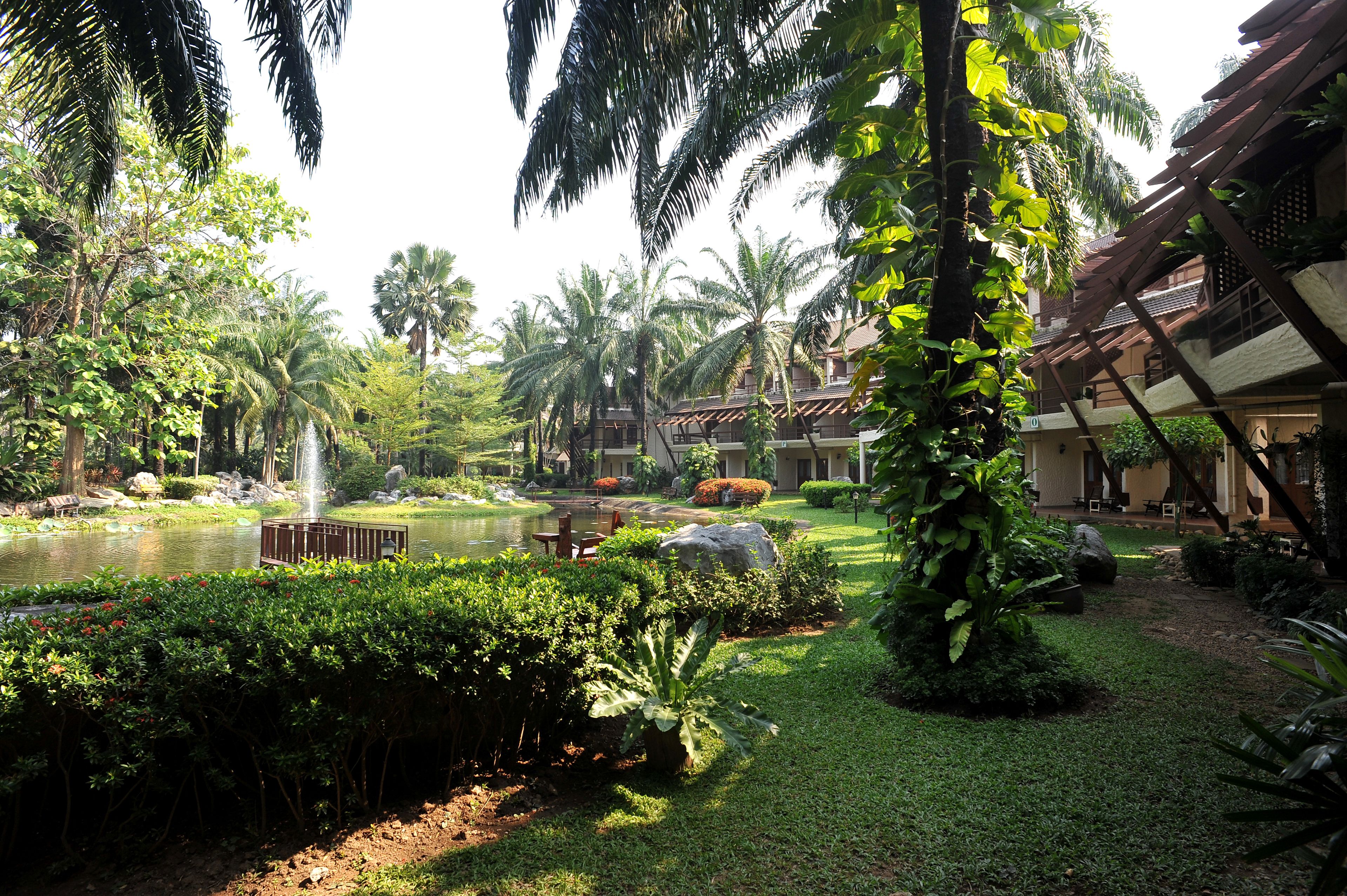 A lush garden with a pond, palm trees, and a waterfall.