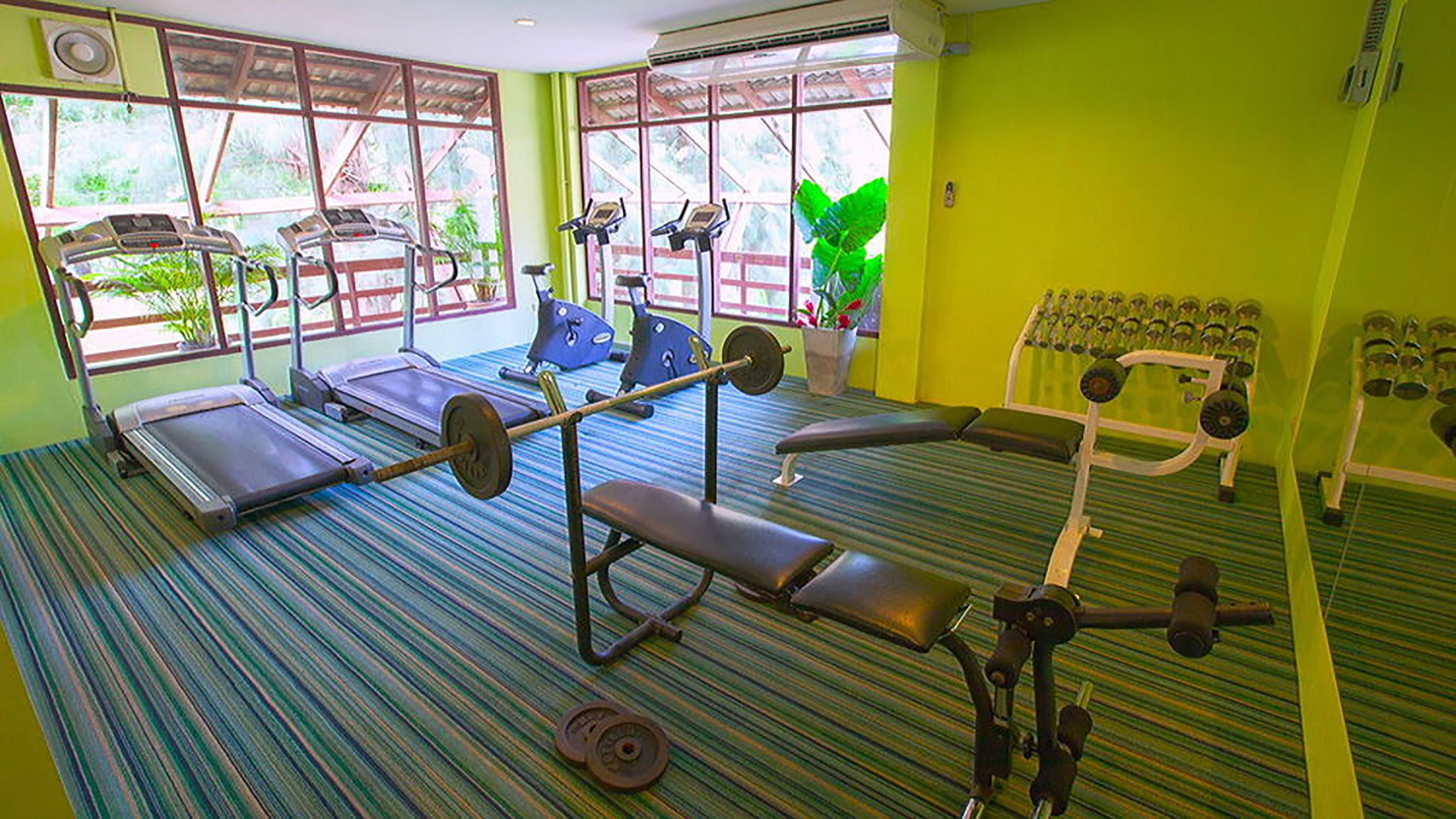 A gym with treadmills, a bench press, and weight machines.