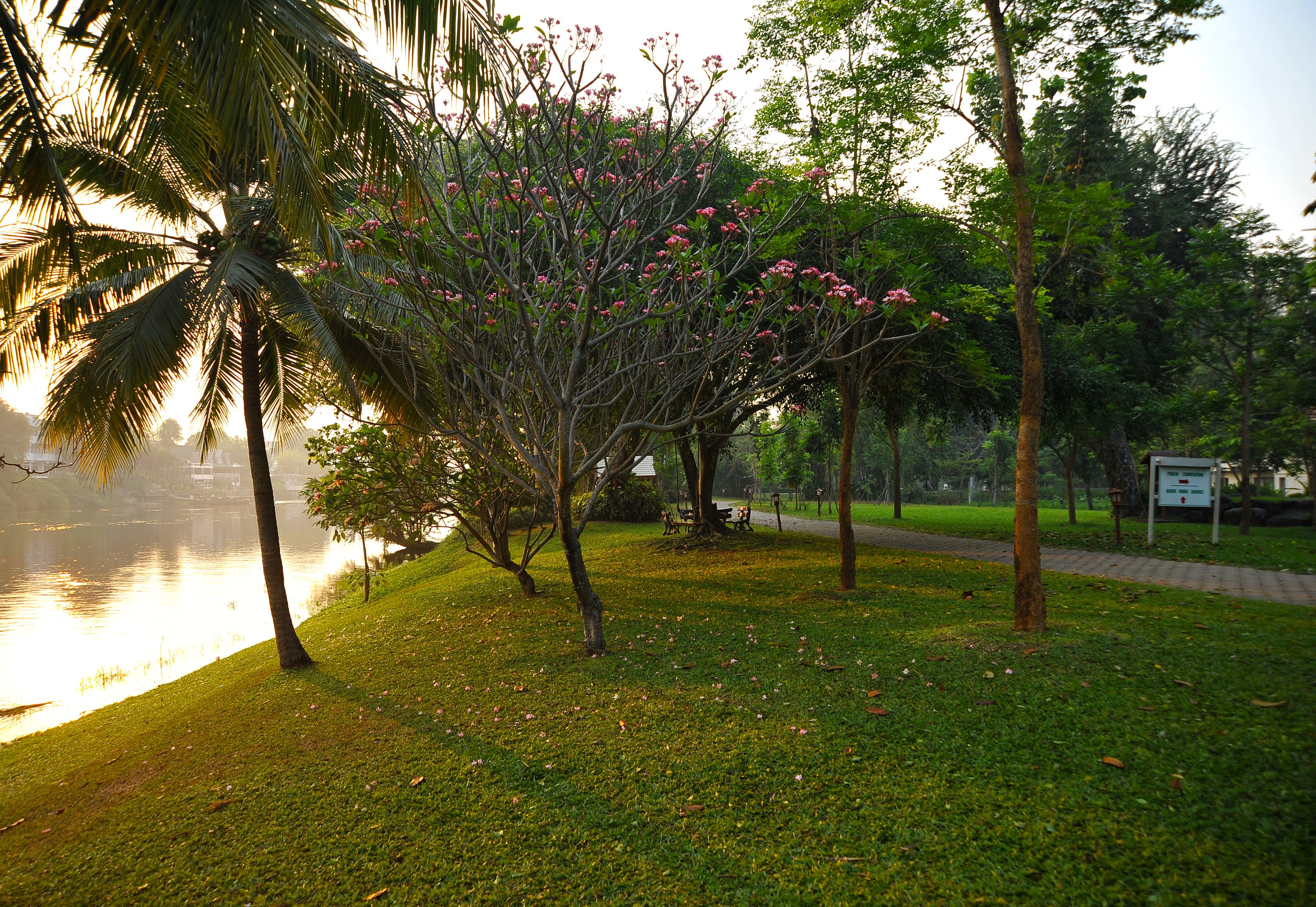 A park with a grassy area, trees, and a body of water.