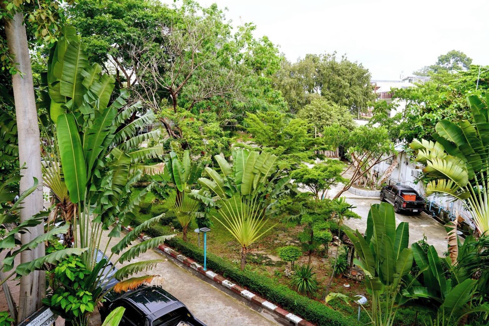 Photo - Basaya Beach Hotel & Resort