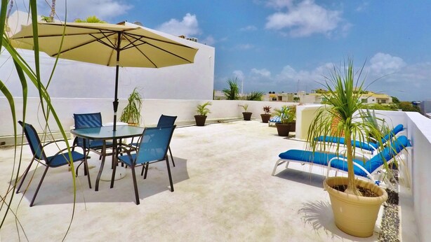 An outdoor patio with a round table, blue chairs, and a large umbrella. There are potted plants and a palm tree.