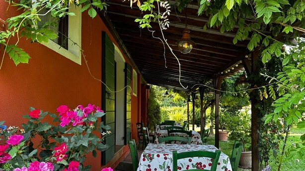 Un área de estar al aire libre cubierta, con una mesa y sillas, rodeada de follaje y plantas con flores.