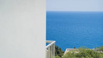 Vista al mar desde un balcón con barandal blanco y follaje en primer plano.