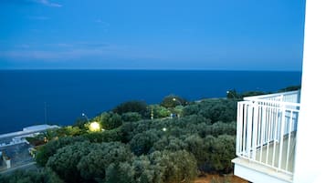 Vista dalla struttura
