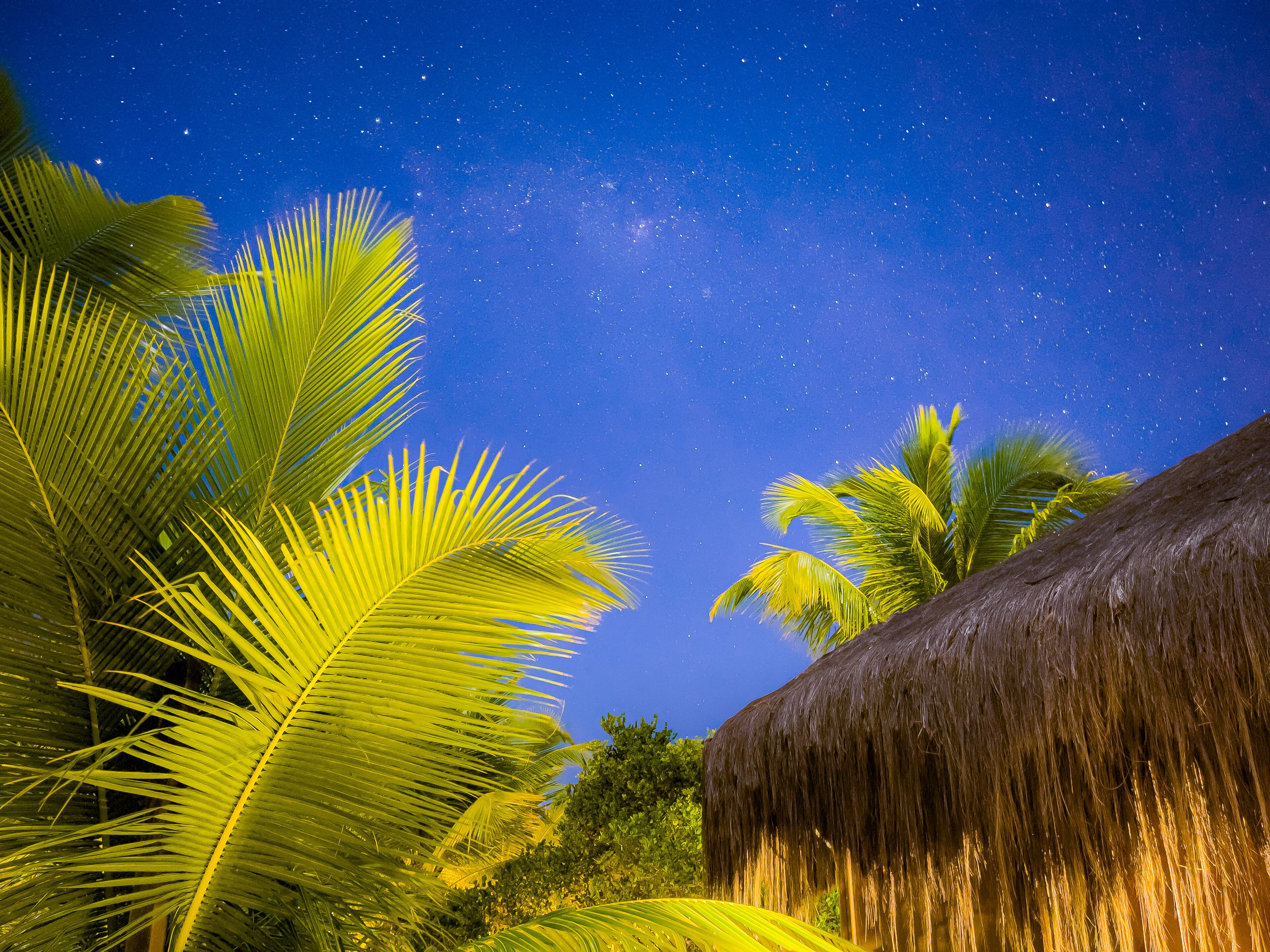 bungalow (double) | terrace/patio