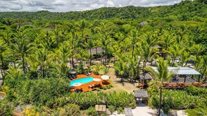 A resort with a swimming pool surrounded by palm trees and thatched-roof structures. - Aldeia da Mata Eco Lodge (Uruçuca)