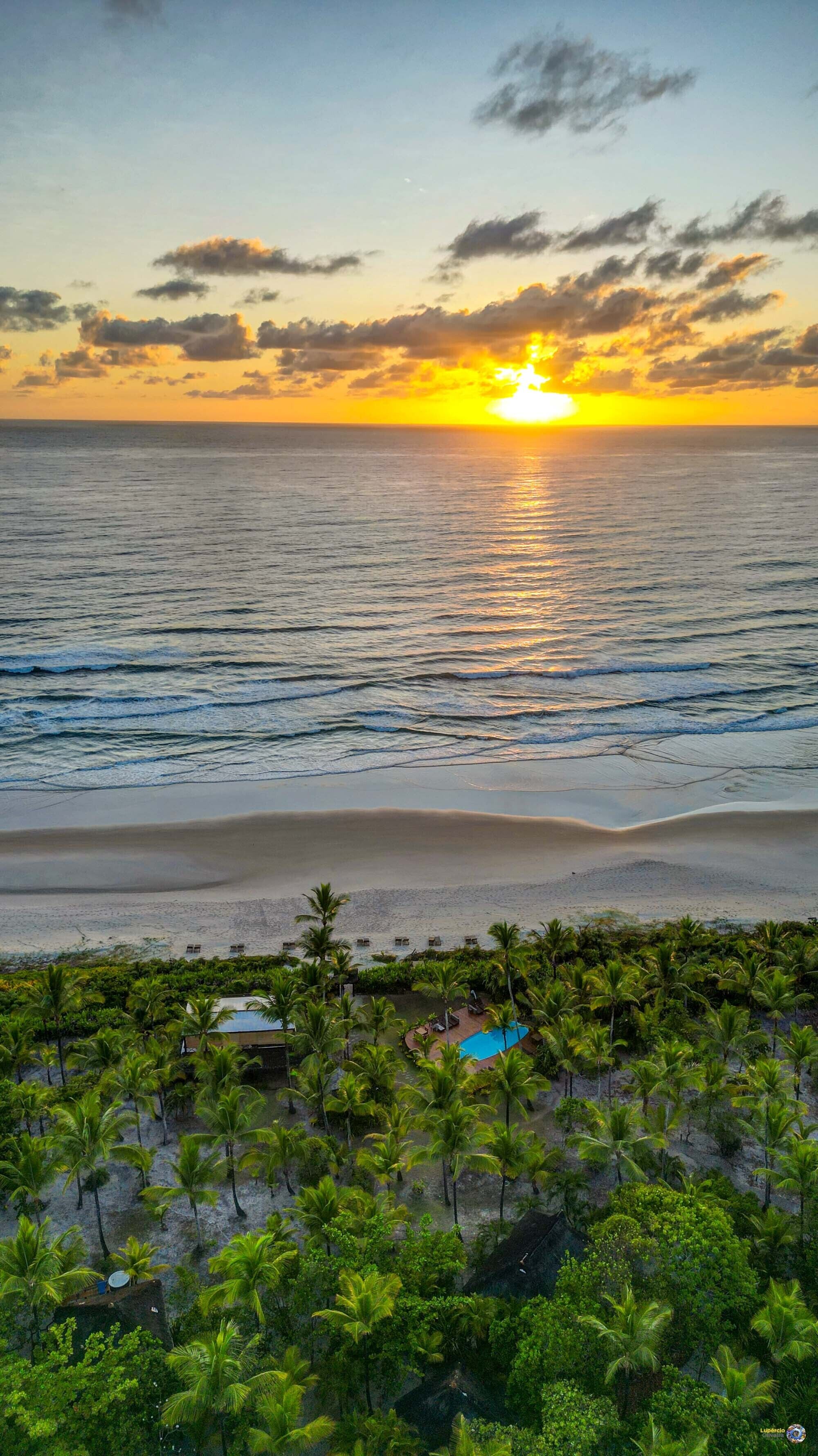 A beach view with a sunset, palm trees, and a pool area.