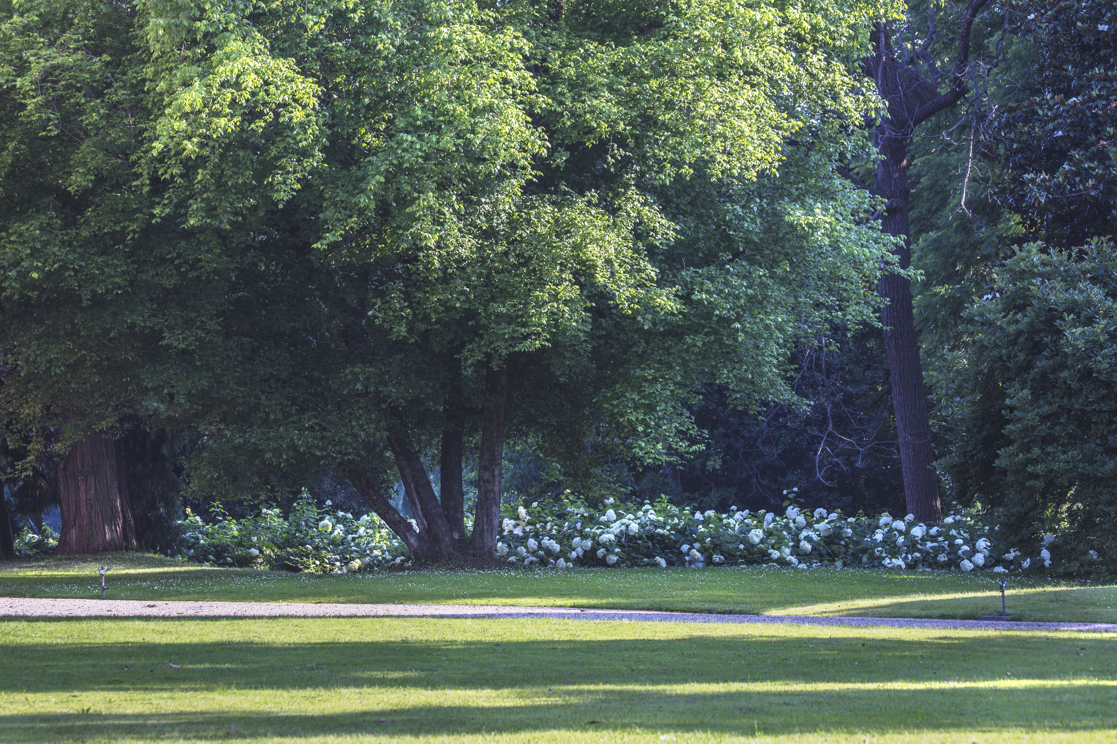 A lush green park with mature trees and a well-maintained lawn.
