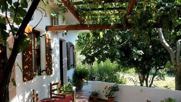 Une terrasse couverte avec un espace salon, des plantes en pot et une vue sur la verdure environnante.