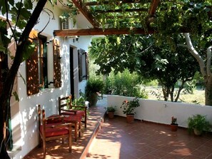 Traditional Twin Room, 2 Single Beds | Terrace/patio