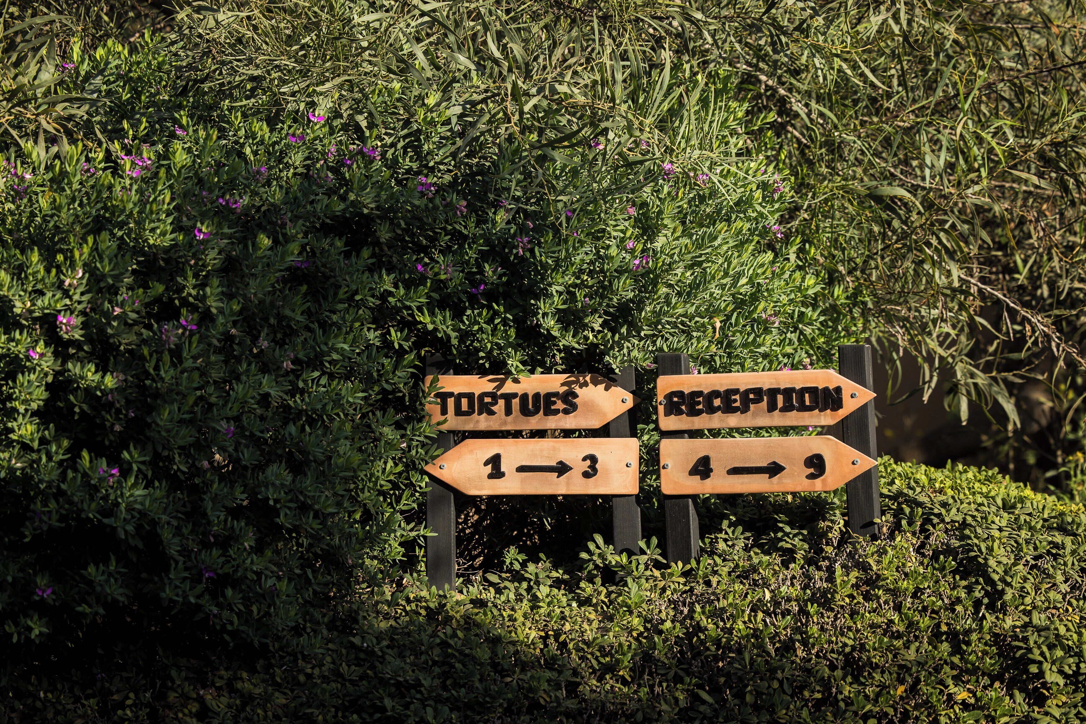 Señales de madera con flechas que indican 'TORTUES' y 'RECEPTION'.