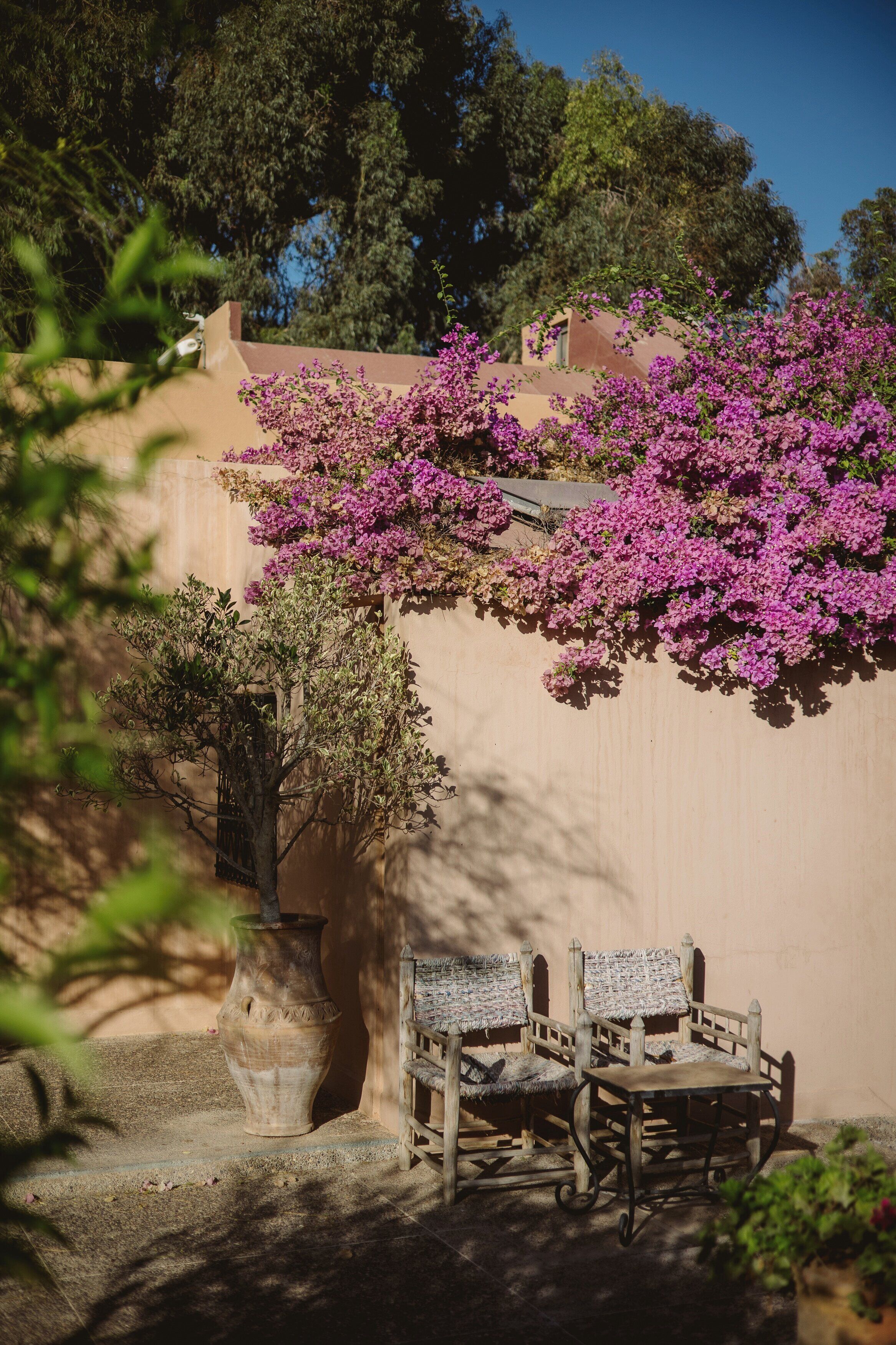 Un patio con una mesa, sillas, una planta en maceta y una pared con plantas florecientes.