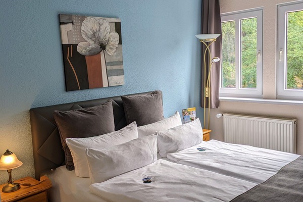 Standard Double Room | Peralatan tempat tidur hipoalergenik, gebar bulu kapas