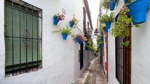 A narrow alleyway with white walls, green shutters, and blue window boxes with plants. -  Hotel Bestprice Córdoba (Córdoba)