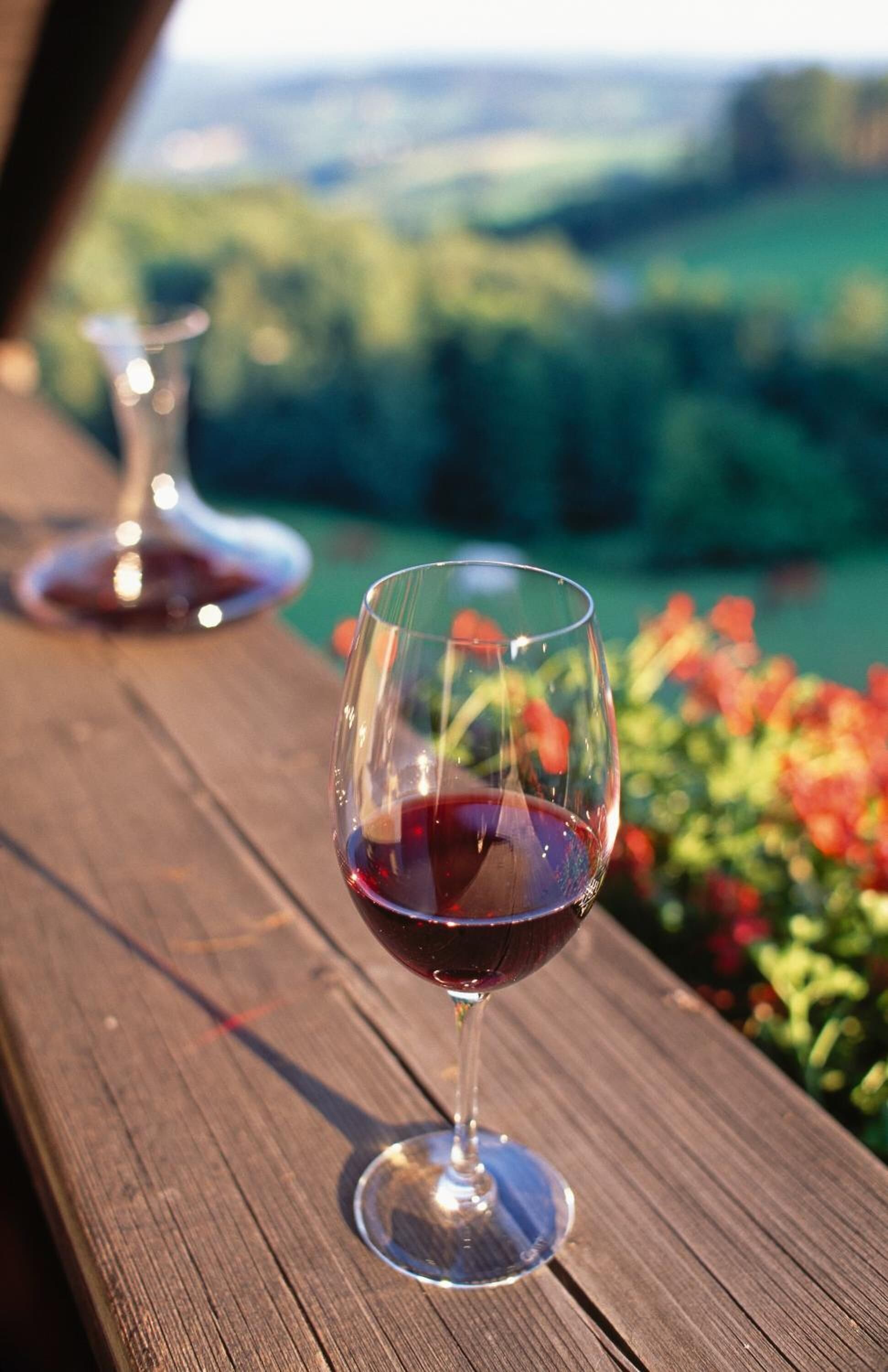 A wine glass filled with red wine on a wooden surface with a blurred background of greenery and flowers.