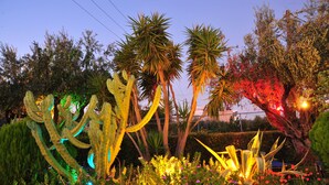 A garden with various plants and trees, including cacti and palm trees. - Argiro Village (Rhodes)