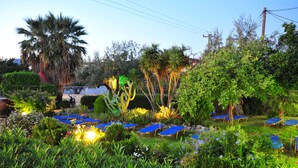A garden with palm trees, cacti, and blue lounge chairs. - Argiro Village (Rhodes)