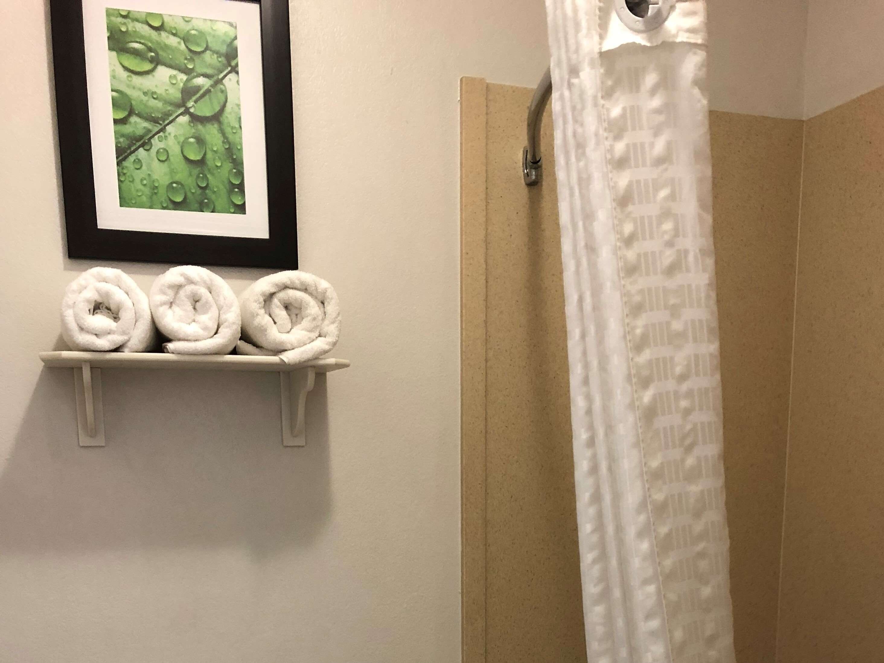 combined shower/bathtub, free toiletries, hair dryer, towels
