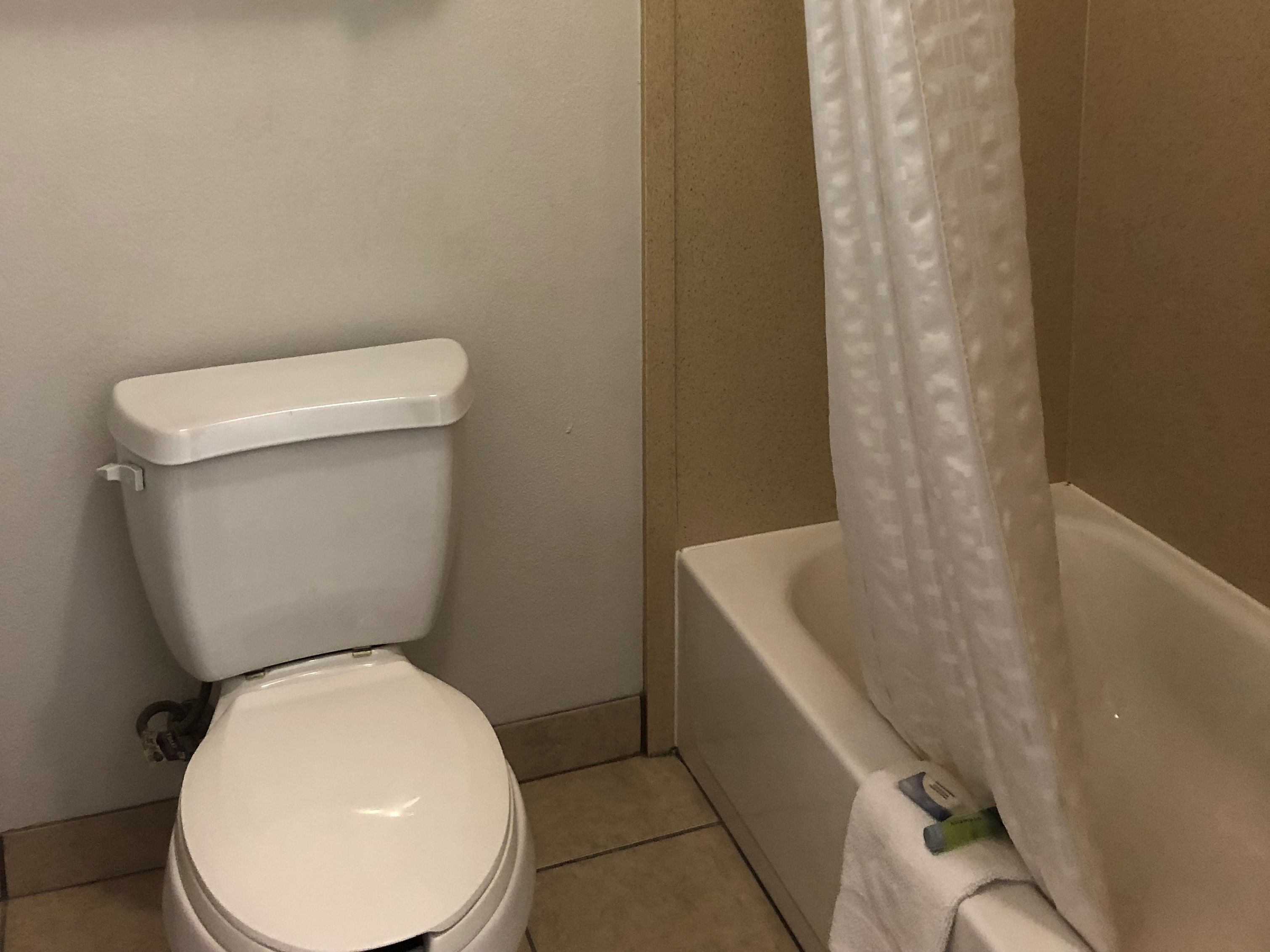 combined shower/bathtub, free toiletries, hair dryer, towels