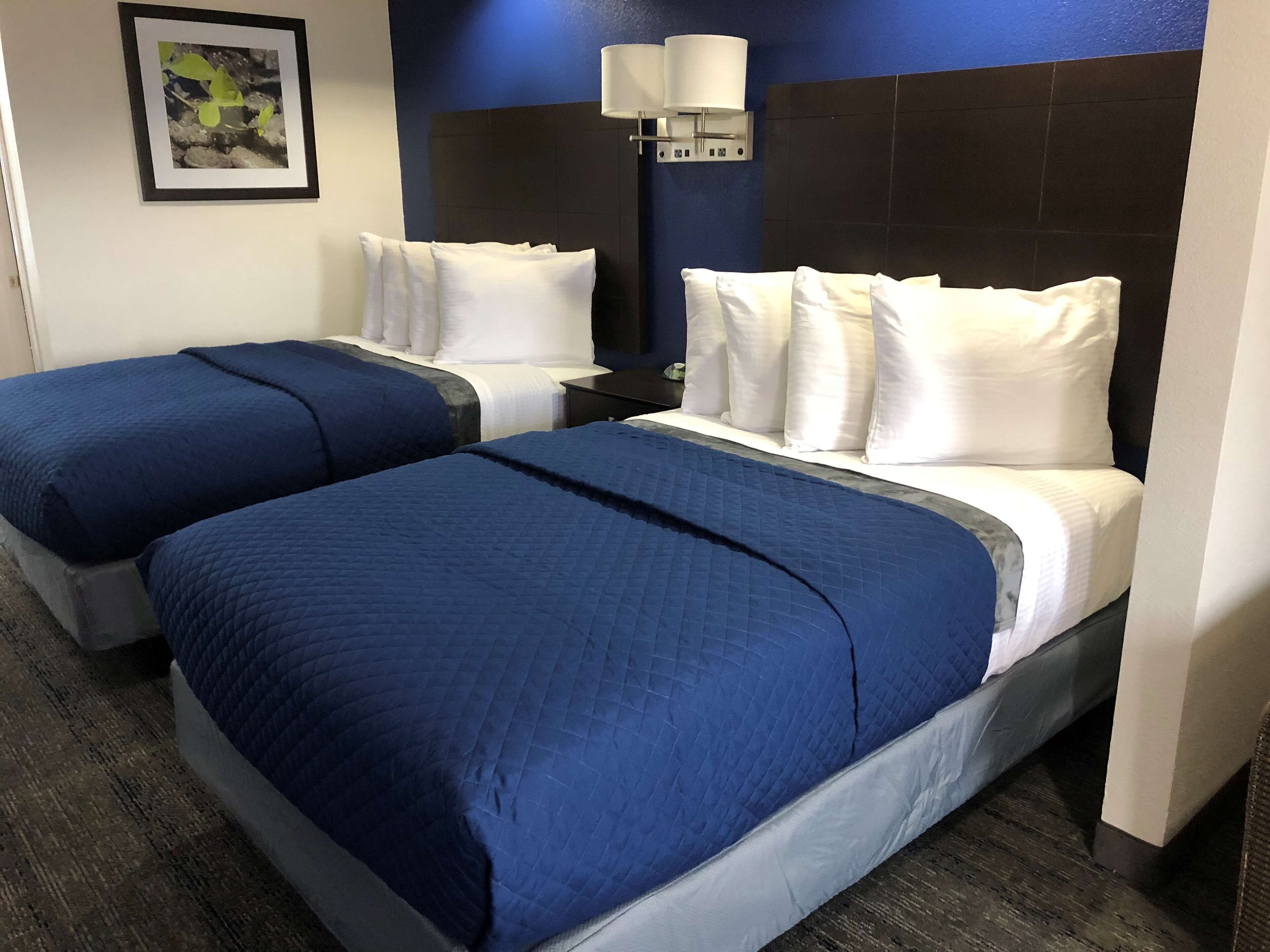 suite with two beds | individually furnished, desk, blackout curtains, iron/ironing board