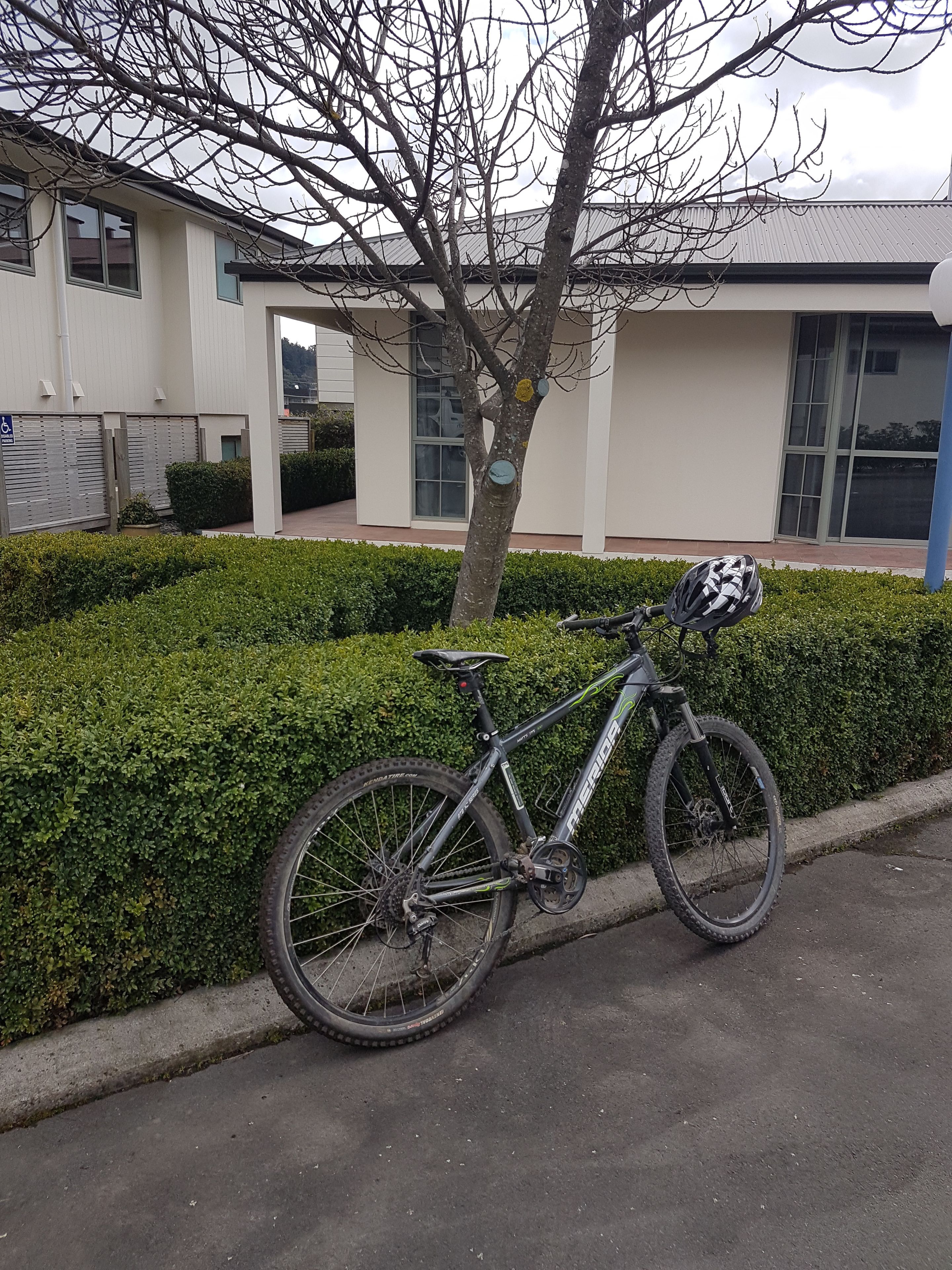 Un vélo est garé à côté d’une haie et d’un bâtiment doté de grandes fenêtres et d’un panneau indiquant qu’il est accessible aux personnes en fauteuil roulant.