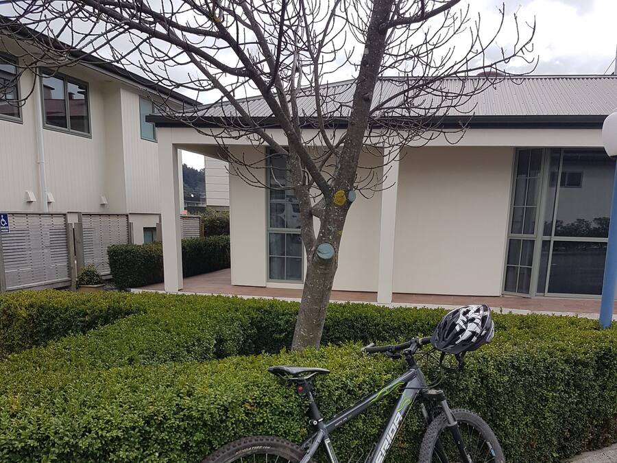 Un vélo est garé à côté d’une haie et d’un bâtiment doté de grandes fenêtres et d’un panneau indiquant qu’il est accessible aux personnes en fauteuil roulant.