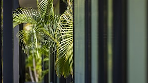 Un couloir orné de plantes tropicales et une porte.