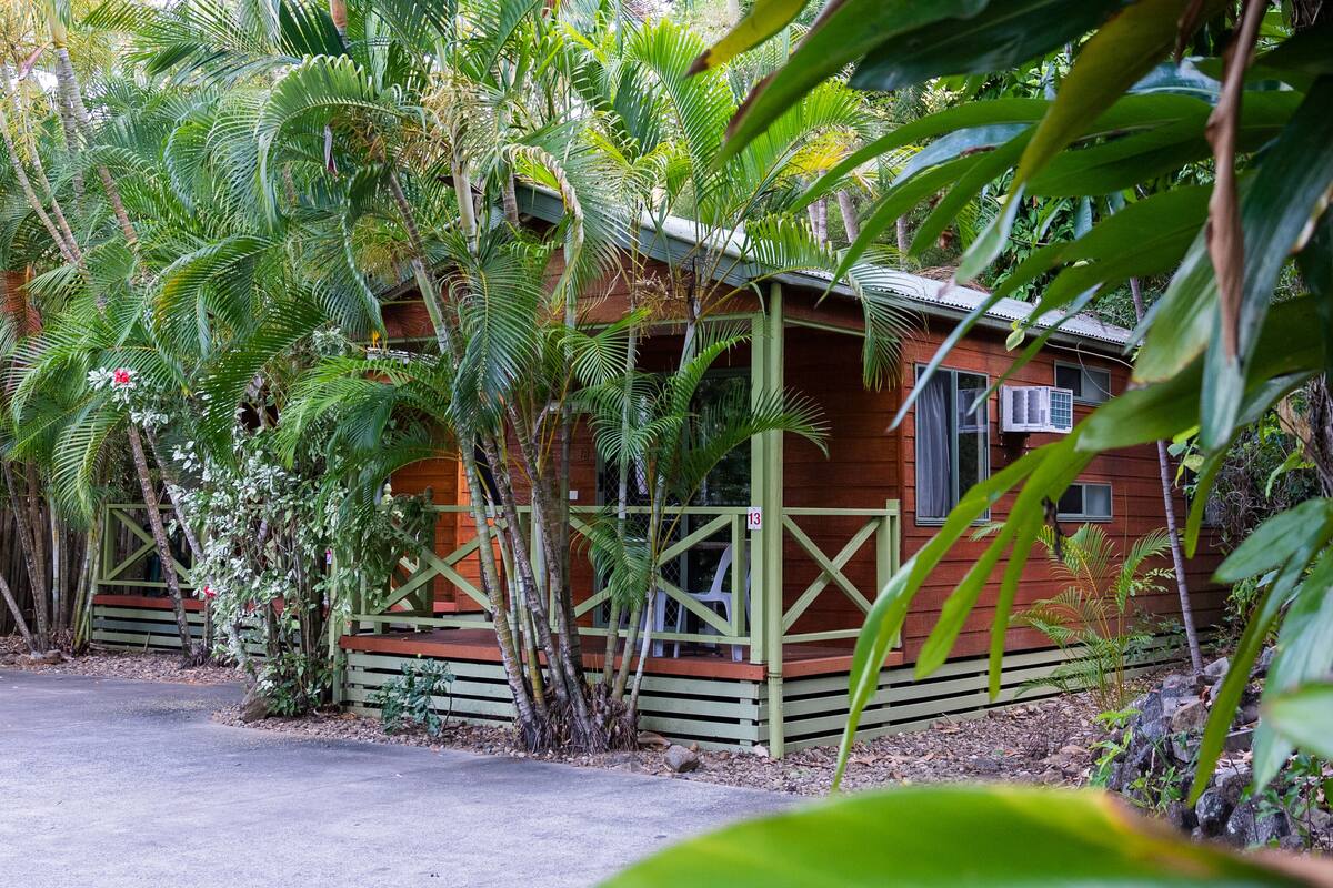 A wooden cabin with a porch surrounded by lush tropical vegetation.