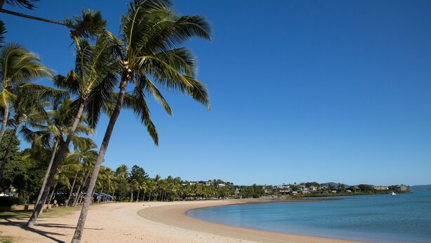 Une plage bordée de palmiers, une étendue de sable et un ciel bleu azur.