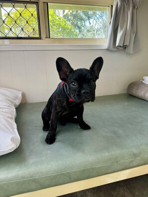 Dog friendly cabin | Ropa de cama