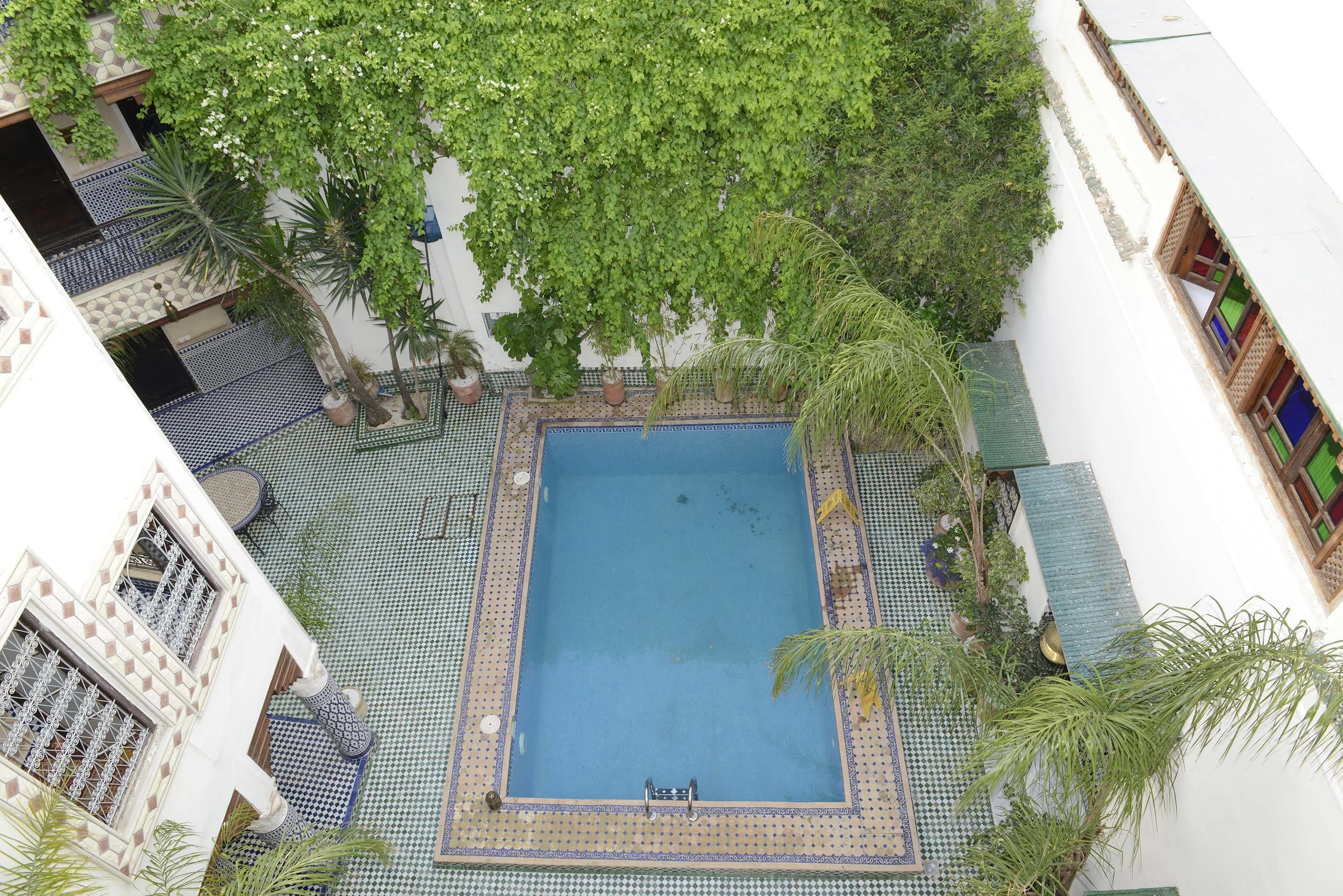 Una piscina en la azotea rodeada de plantas en macetas y un deck con baldosas.