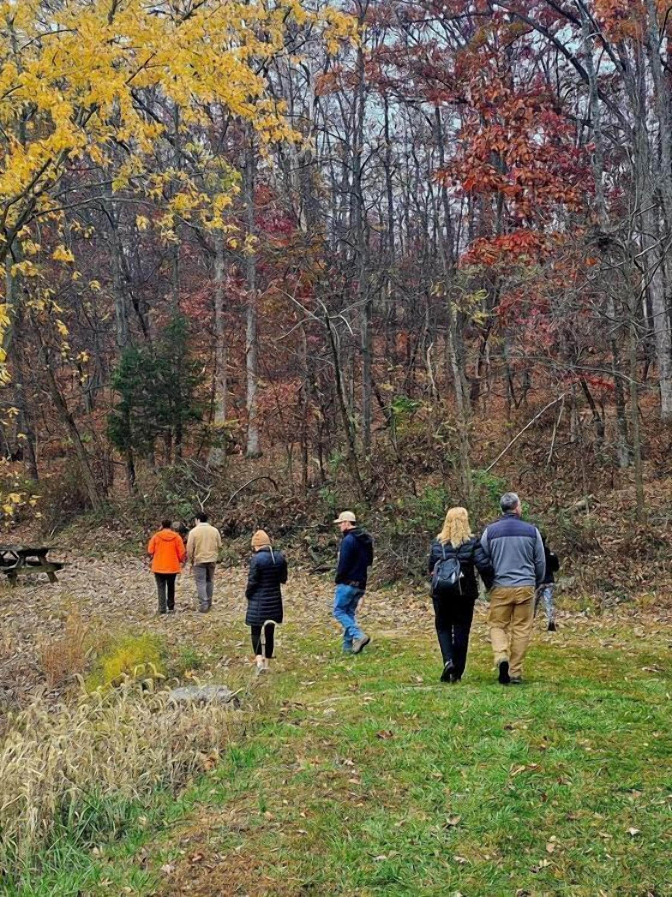 Un grupo de personas caminando por un sendero cubierto de césped en un área boscosa con árboles de colores otoñales.