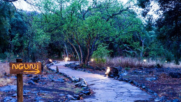 Un panneau en bois sur lequel est écrit le mot « NGUNI », un chemin de terre et des arbres tout autour.