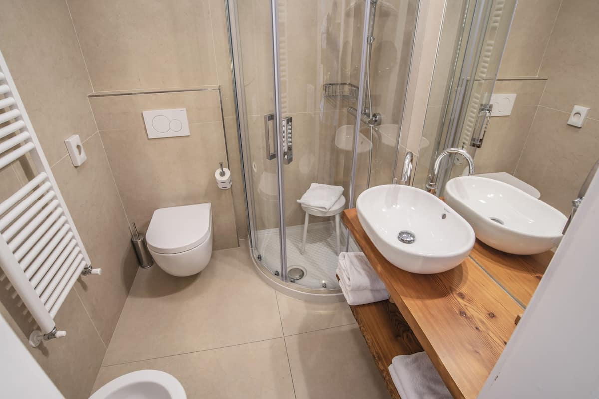 shower, hair dryer, bidet, towels