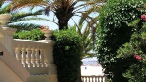 Een pad omzoomd met potplanten en een palmpaal, dat leidt naar een gebouw met een witte gevel en een balustrade.