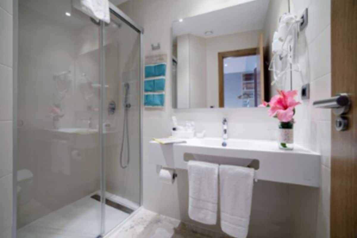 shower, free toiletries, hair dryer, towels