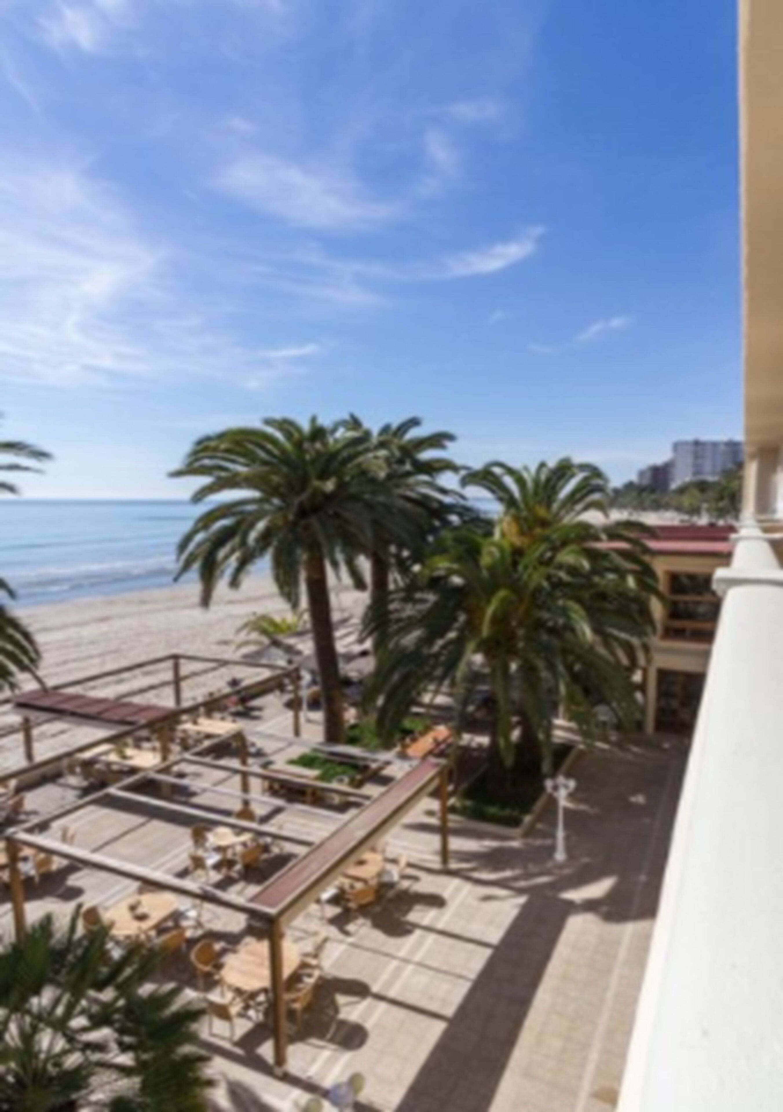 A beachside view from a balcony with palm trees, a beach, and a clear sky.