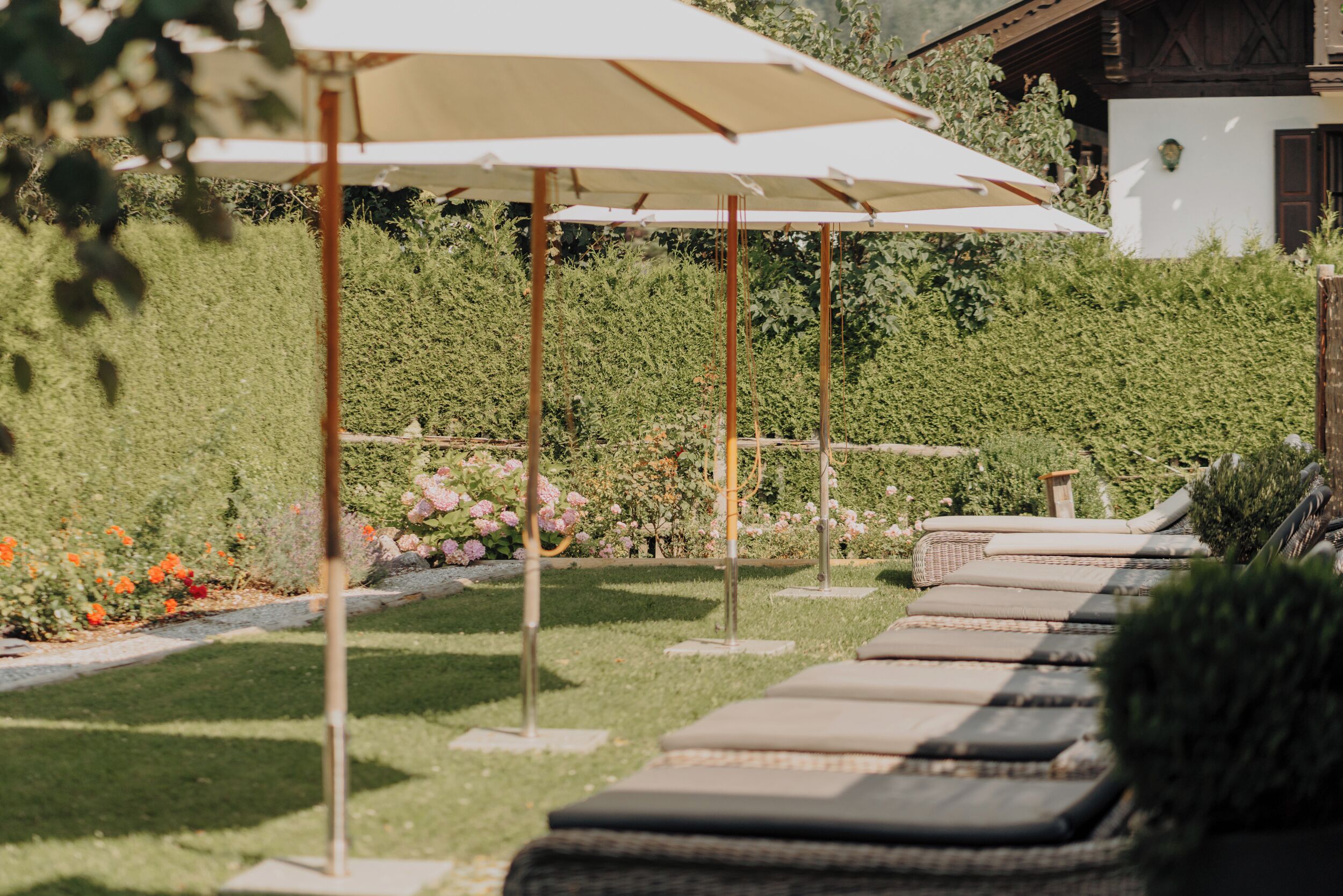 Un jardin agrémenté de chaises longues et de parasols, entouré de haies et de fleurs.