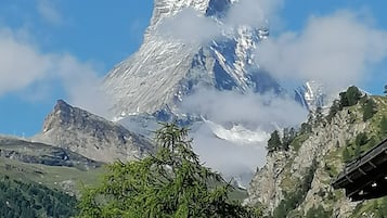 Doppia Standard | 1 camera, una cassaforte in camera, tende oscuranti, Wi-Fi gratuito