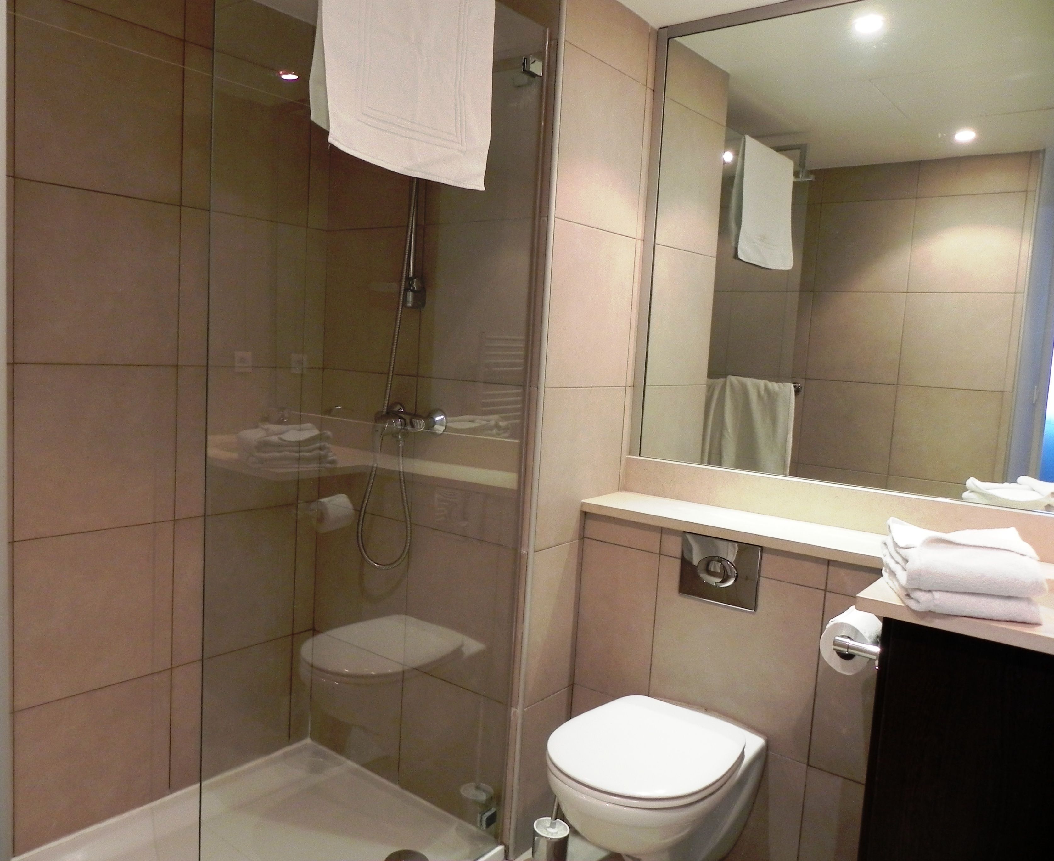 A bathroom with a glass-enclosed shower, a toilet, a sink with a mirror, and a towel rack.