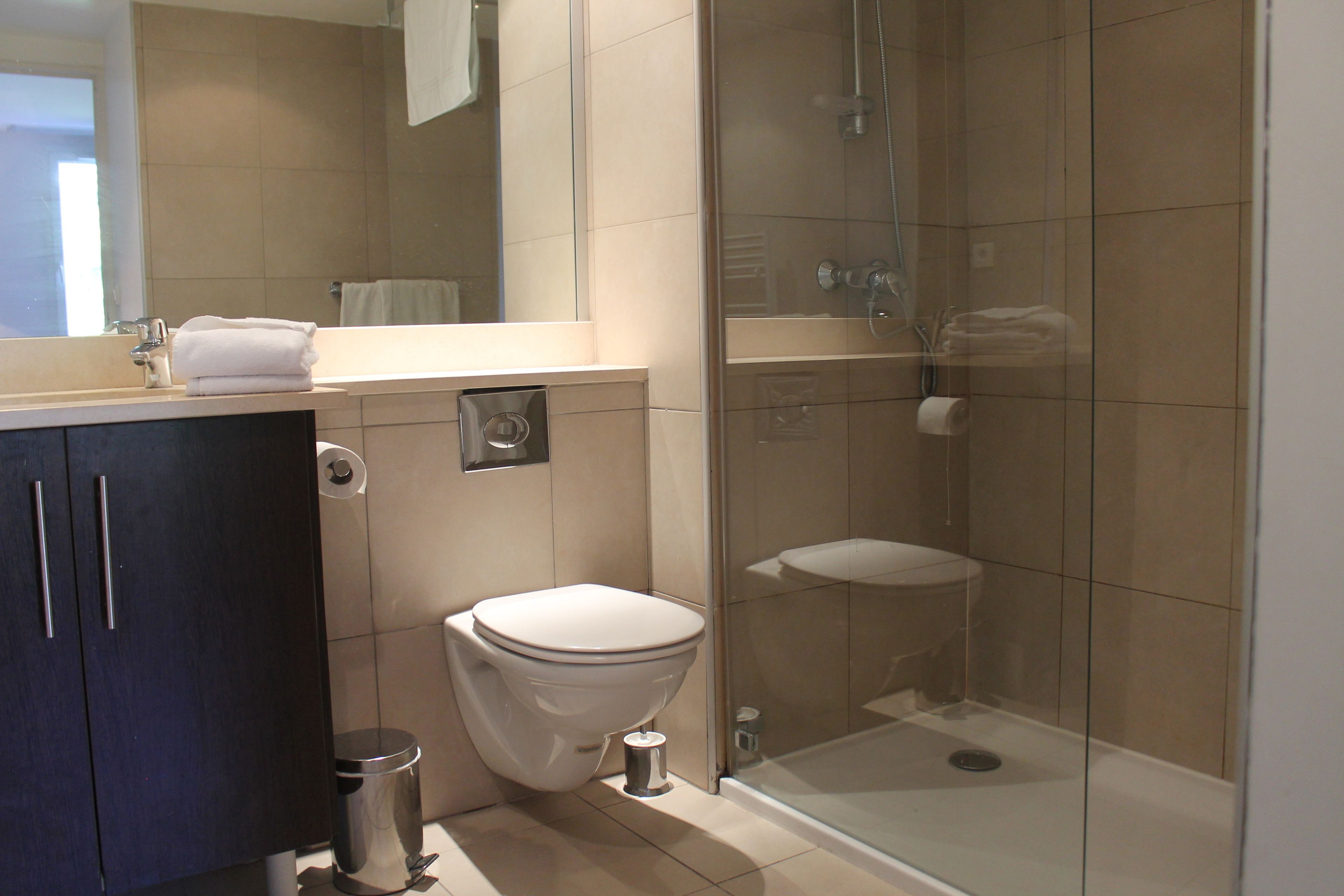 Superior Apartment | Bathroom