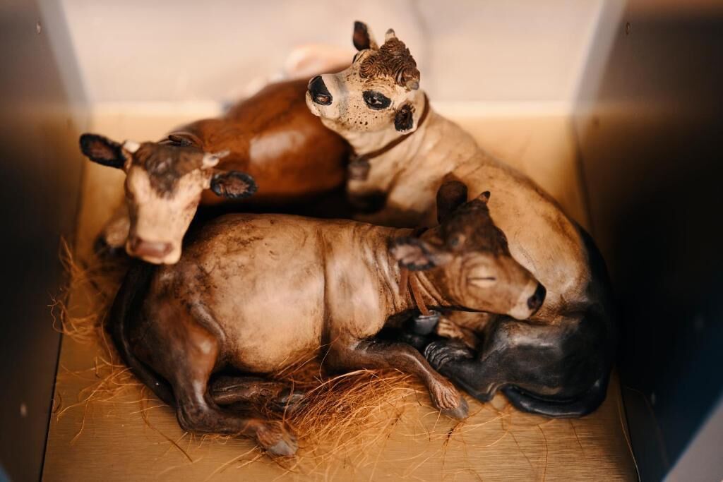Una caja de madera que contiene dos figuras de vacas, una acostada y otra de pie.