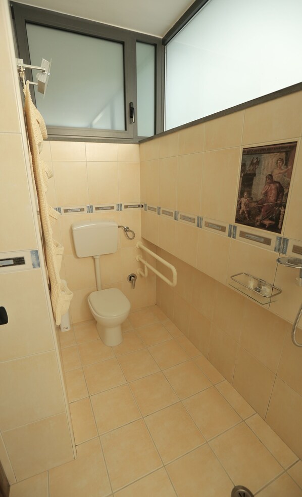 A small bathroom with a toilet, a towel rack, a handrail, and a shower area. - Pompei Valley Boutique Hotel (Pompei)