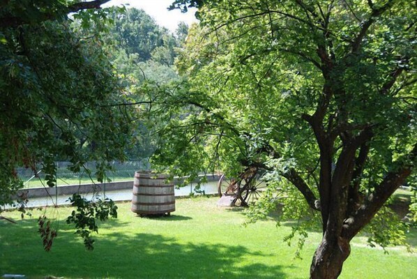 A grassy area with a large tree, a wooden barrel, and a wheelbarrow. - Le Domaine de la Colombière (Moissieu-sur-Dolon)
