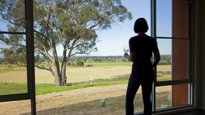 A person standing by a large window with a view of a tree and open fields. - Eco-luxe at Mount Avoca (Percydale)