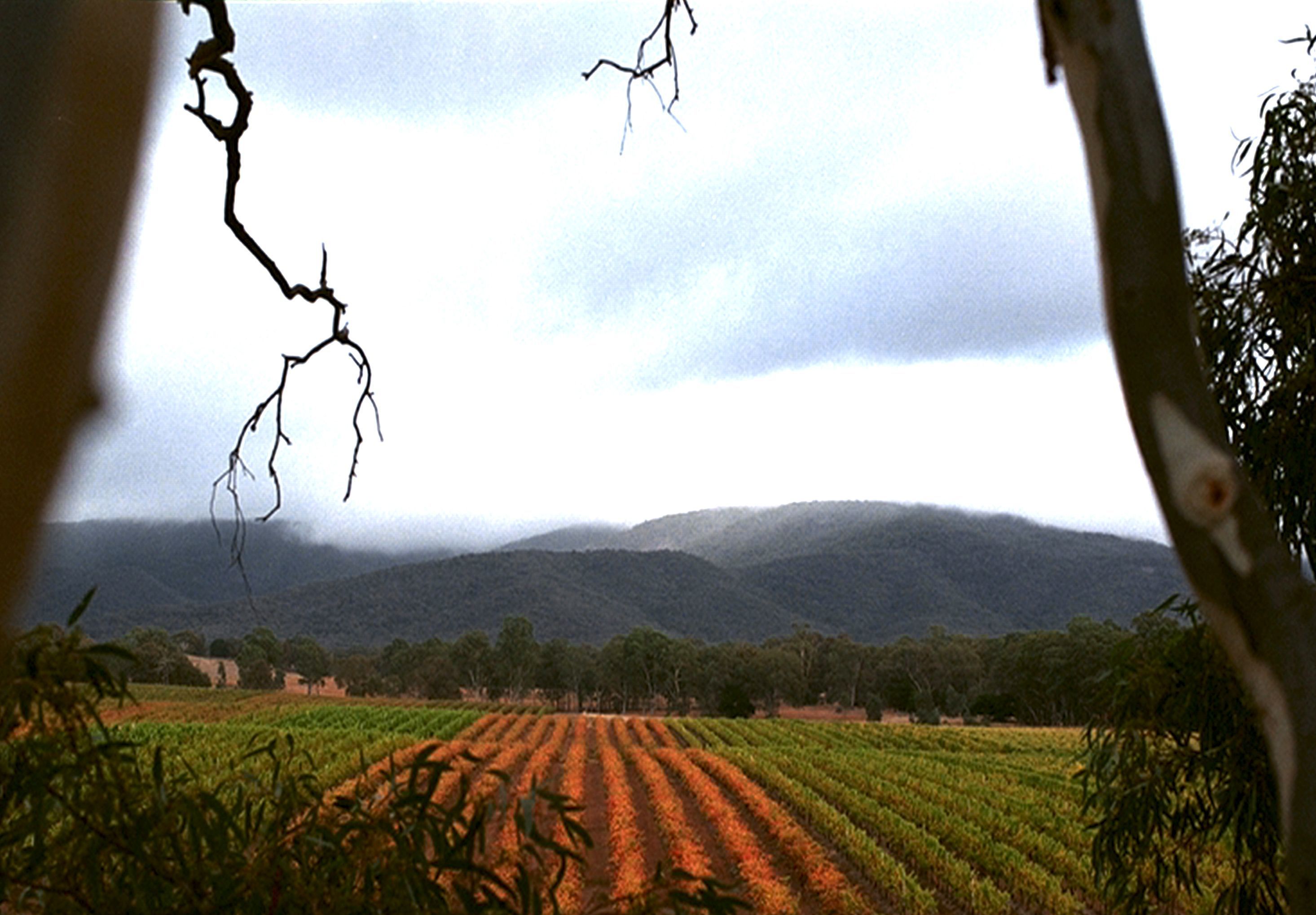 Paisaje rural con campos y montañas al fondo.